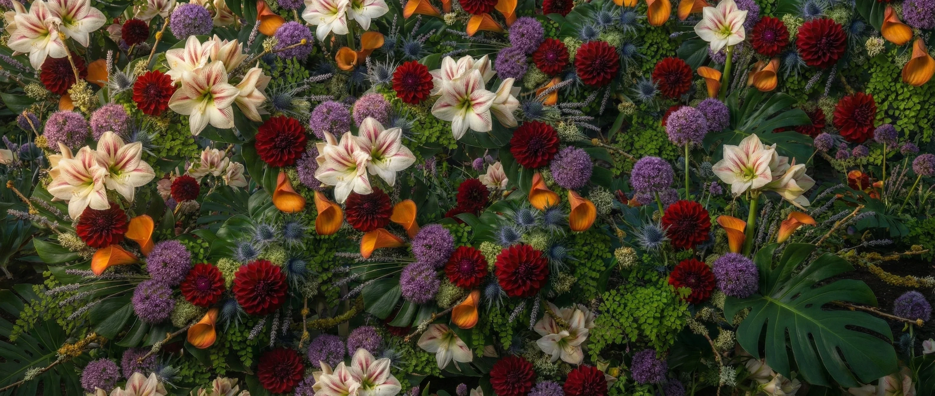 Mur de fleurs