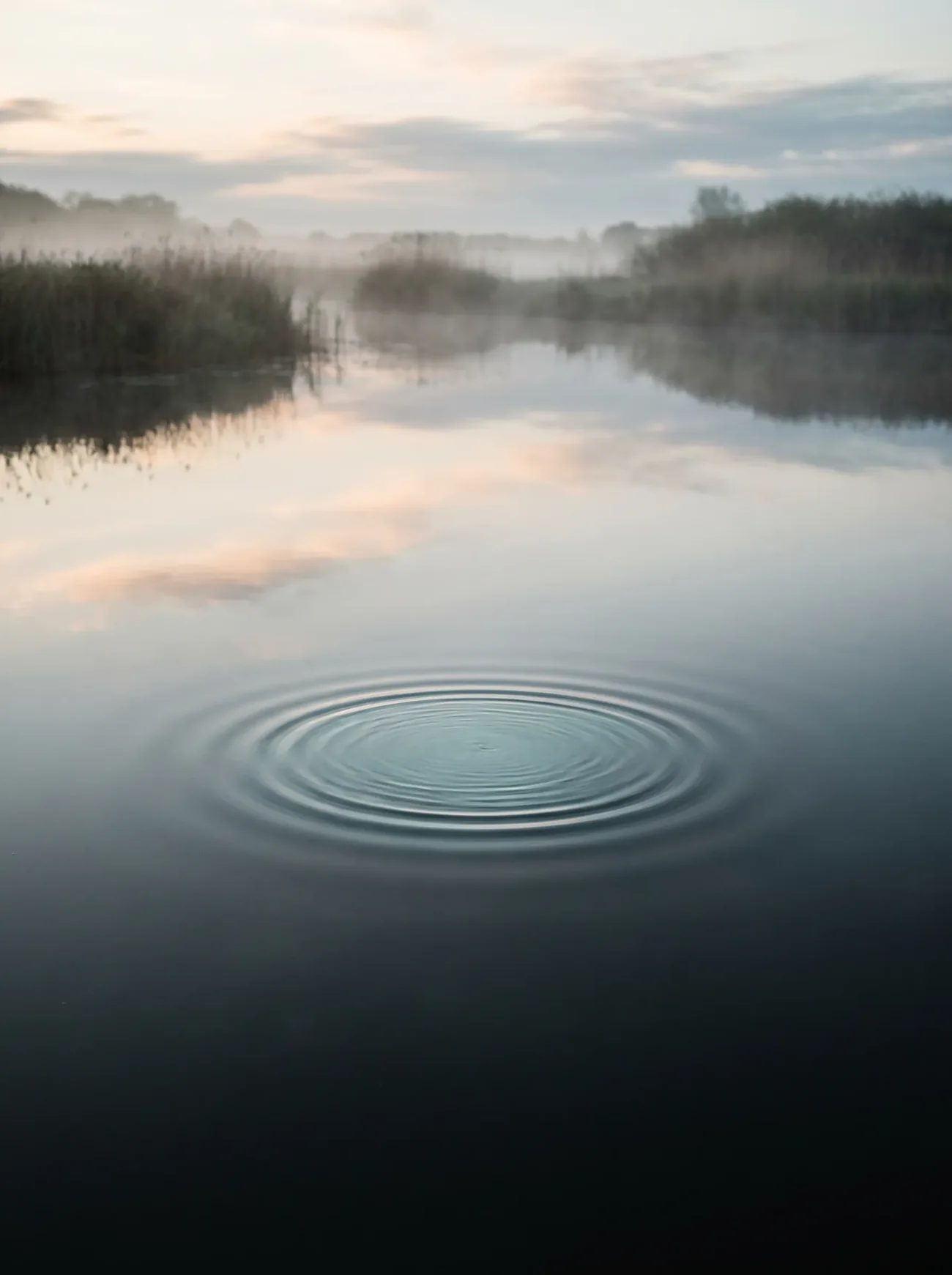 Onde s'élargissant doucement sur une eau calme au lever du jour